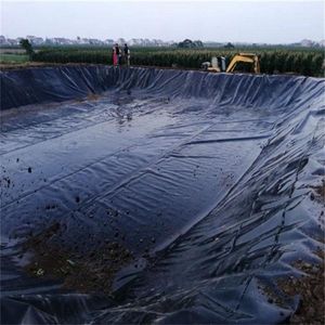 Kamboçya'da biyogaz Digester için 1.5mm HDPE LLDPE LDPE geomembran endüstriyel tasarım HDPE membran en iyi fiyat - Product Image 2