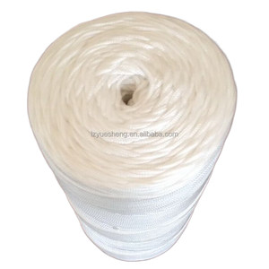 Cuerda estática de doble PP original, cuerda trenzada plana de poliéster de nailon con extremo de bucle de plástico para embalaje - Product Image 1