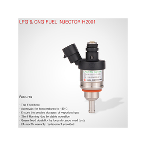 Sản xuất tại Hàn Quốc LPG Injector chuyển đổi Kit Bán buôn giá cao nhất dòng chảy Side thức ăn loại h2001 LPG/cng Rail loại Injector - Product Image 3
