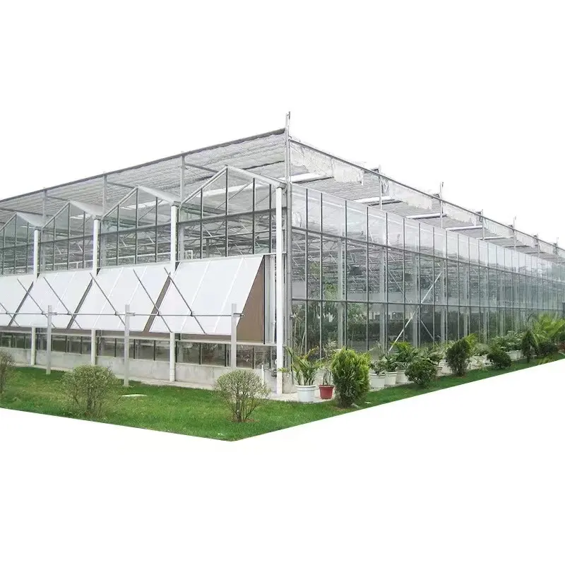 Sistema hidropónico Venlo Invernadero agrícola Invernadero multitramo Casa verde de vidrio comercial para verduras