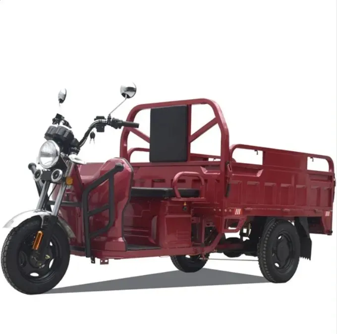 Lade kapazität Elektrisches Dreirad Elektrisches Trike Hoch geschwindigkeit 600kg 48V Blei-Säure-Batterie 2 Sitz 3-Rad Elektro roller Offen