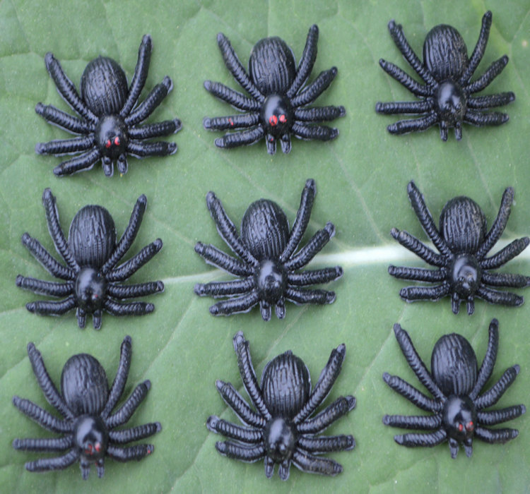 D Short-legged spider 8*5cm