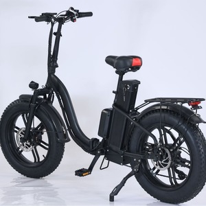 Fabrika doğrudan satış entegre tekerlek katlanır elektrikli bisiklet yağı fren çift Motor 48v gerilim tüp dış ticaret ihracat