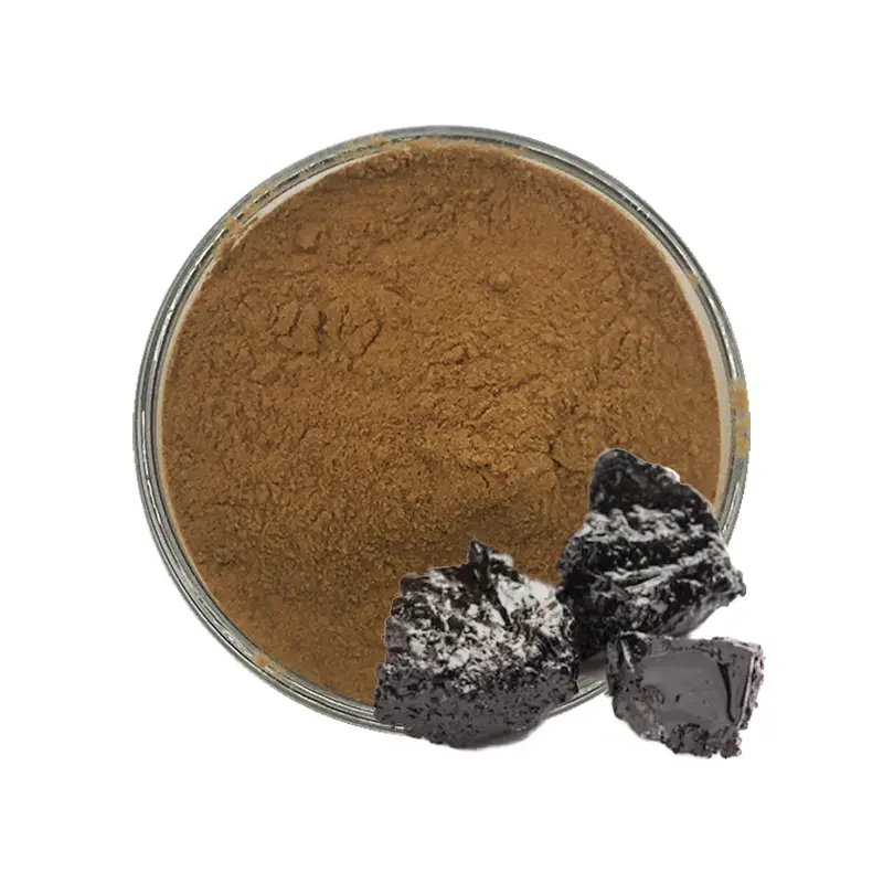Reines Shilajit-Extrakt pulver in Lebensmittel qualität Fulvin säure Natürliches Shilajit-Pulver als Nahrungs ergänzungs mittel