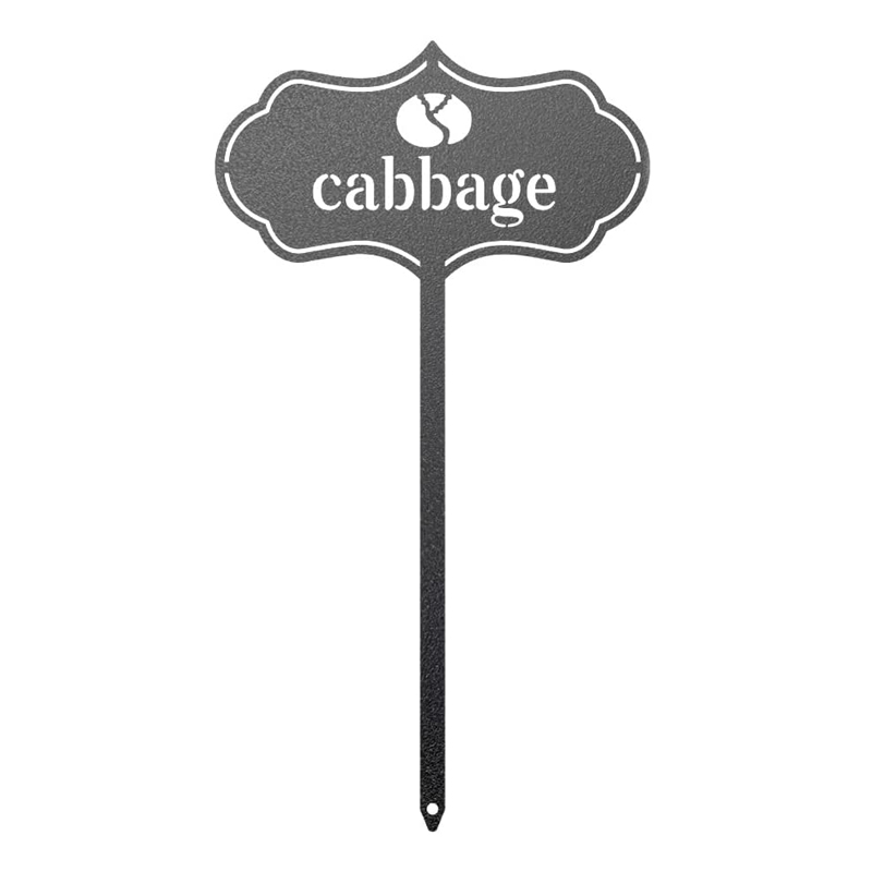 Black-Cabbage