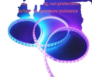 2025新款恒宇24V 12V SMD 5050可寻址RGB柔性发光二极管条DMX512 60LED/m IP68智能语音控制100m/卷5m/卷 - Product Image 3