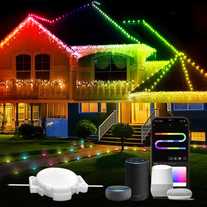 OEM ODM LED String Modul Pixel Licht RGB 12V IP68 Wasserdichte RGBIC Traum farbe Outdoor Weihnachts ferien LED Pixel Point Lights - Product Image 1