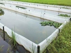80 Mesh 14 square Meters Breeding <strong>Net</strong> Fish Pond Crayfish Insect-proof Fence <strong>Net</strong> Filter Impurity <strong>Net</strong> - Product Image 4