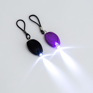 Mini <span class=keywords><strong>LED</strong></span> Xe Đạp Keychain Đèn pin chùm trắng huy hiệu đèn <span class=keywords><strong>Torch</strong></span> Đèn Cắm Trại thiết bị ngoài trời khuyến mại Móc Khóa Carabiners - Product Image 1