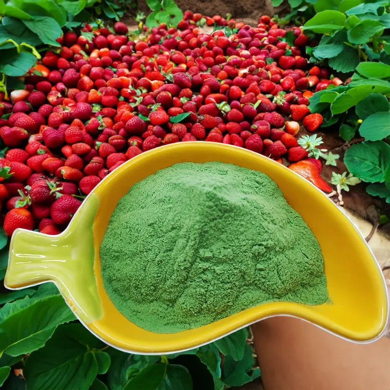 ENGRAIS CHÉLATÉ VERT EDTA FE/ZN/MN/CU ADAPTÉ AUX LÉGUMES ET FRUITS