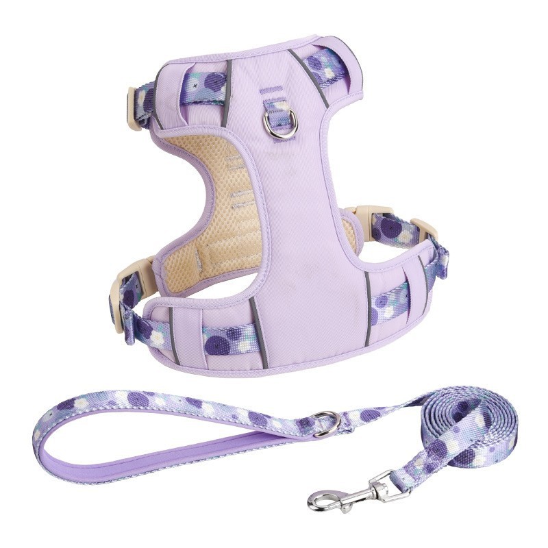 Purple harness leash