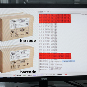 Progettazione professionale del sistema di smistamento logistico Dws programma di smistamento e trasporto automatico di pacchi di grandi dimensioni - Product Image 6