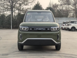 <span class=keywords><strong>HaiBao</strong></span> 4 tekerlekli 5KW serin yetenekli: 4 tekerlekli Off-Road EV geniş, rahat, fabrika doğrudan!