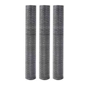 Malla de alambre Hexagonal 1/2 2 pulgadas Triple giro galvanizado Pvc recubierto Valla de alambre Hexagonal Red de pollo para Gallinero - Product Image 2