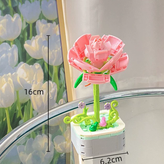 Rose rose