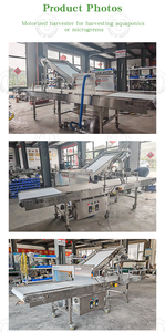 Nhanh chóng cắt greenstabletop gặt đập tiết kiệm lao động microgreens gặt đập cho thị trường USA - Product Image 6