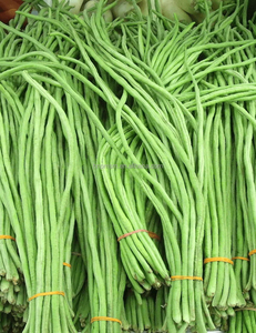 多功能叶菜切菜机和切菜机创新厨房切菜机，用于腌菜切片 - Product Image 6
