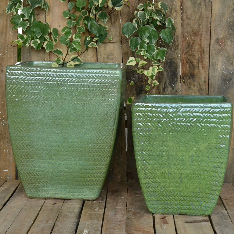 Selva Verde