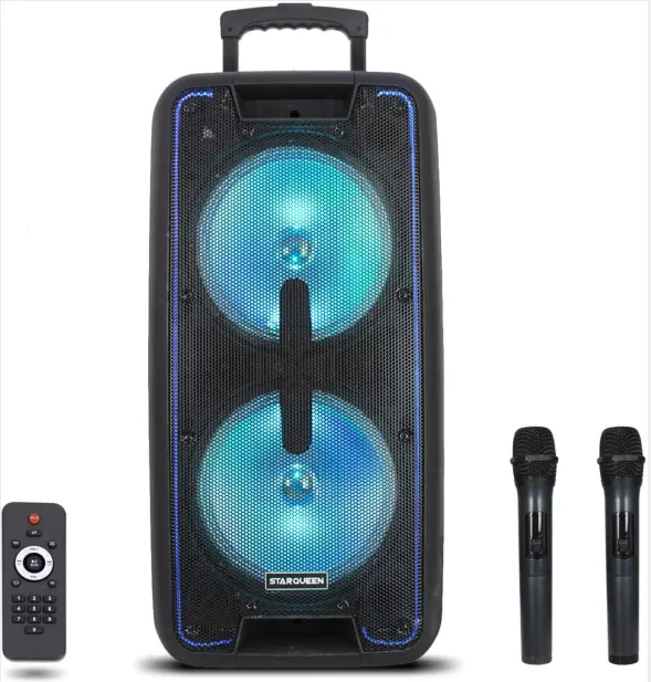 Woofer con Sistema dual de 10 pulgadas para karaoke, altavoz portátil