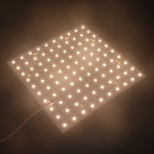 Dula Color 2700+6500K Flex <strong>Led</strong> Panel 2LED 25*25mm Free Cutting DC24V 200Leds <strong>Led</strong> Advertising Sign Backlight Sheet - Product Image 4
