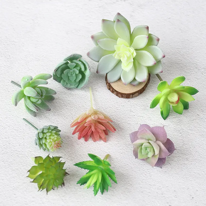 mini diy succulent artificial plant for home decor sing head succulent plant for Micro Landscape Design Flower Arrangement