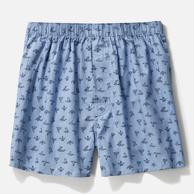 Pájaro azul cielo K1