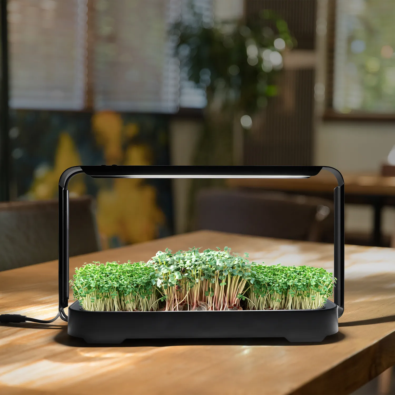 Mini jardín espectro completo lámpara de cultivo inteligente kit de cultivo de semillas vegetales microgreen planta de semillero crecer jardín con temporizador