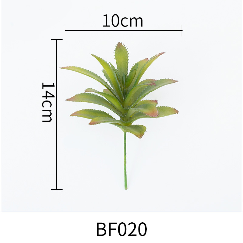 BF020