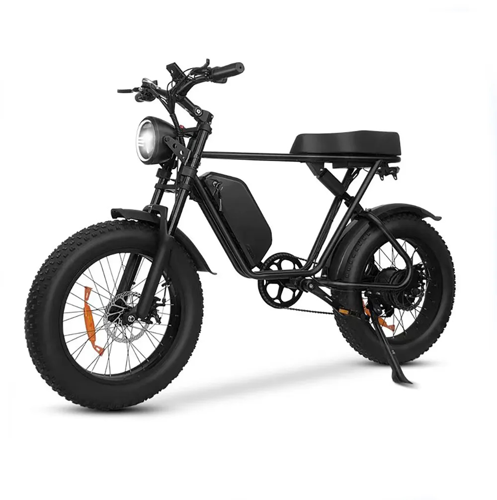 48V 1000W Suspensión completa Ebike Batería de litio 20 pulgadas Ebike Fat Tire Bicicleta de carga para adultos