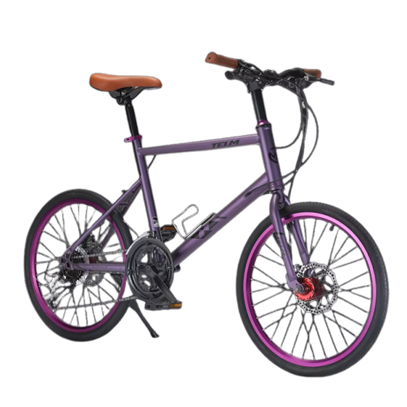 Violet -16 vitesses droites