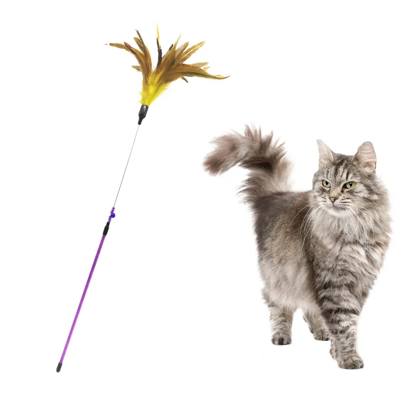 2021 stock fast delivery colorful interactive feather cat teaser wand for pet