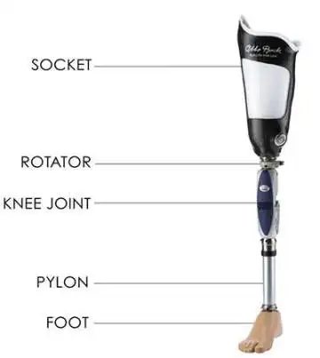 चिकित्सा प्रत्यारोपण कृत्रिम पैर कृत्रिम अंग निर्माता