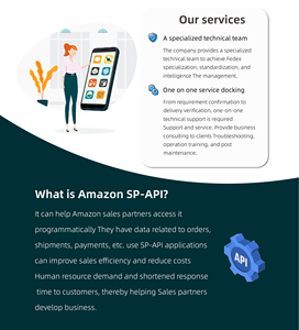 Comprehensive Amazon <strong>Web</strong> <strong>Development</strong> Website API Integration Customization Service - Product Image 6