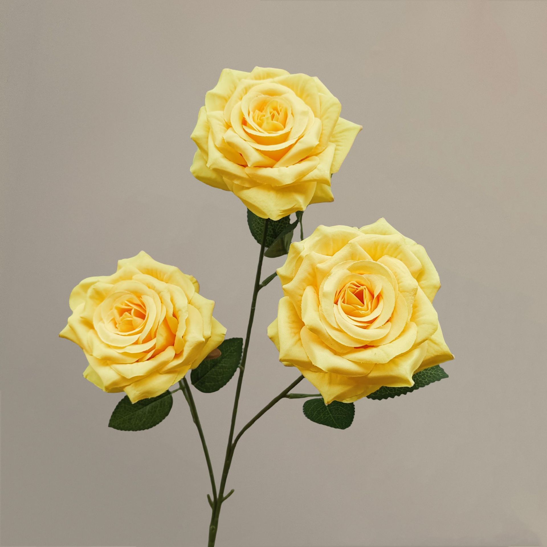 Jaune