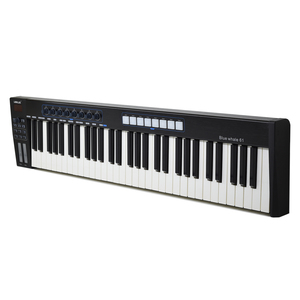 WORLDE Ballena Azul 61 teclado controlador MIDI USB portátil 61 teclas semipesadas 8 almohadillas retroiluminadas RGB pantalla LED con USB