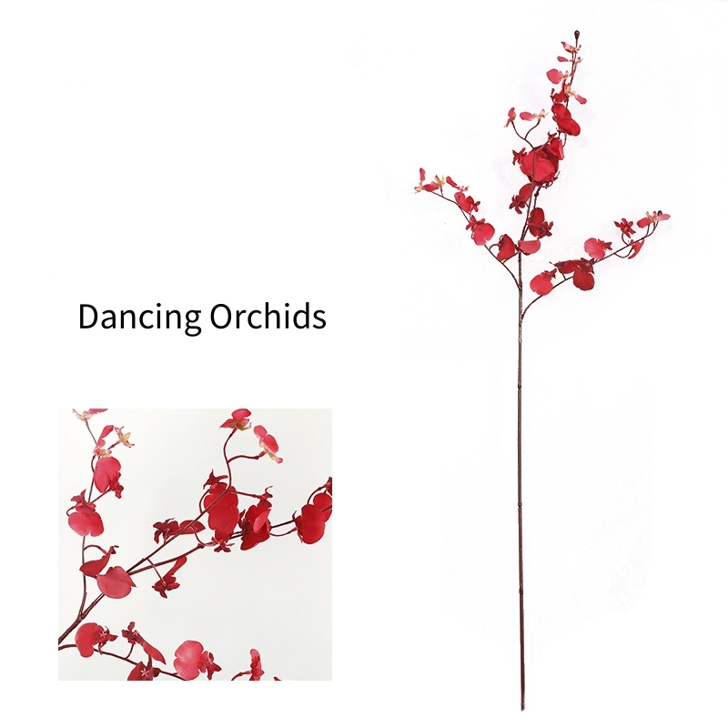 #1 orchidée dansante rouge
