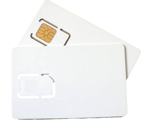 PVC Java-Karte mit SAM AV2-Chip für Führerschein 13,56 MHz Frequenz - Product Image 1