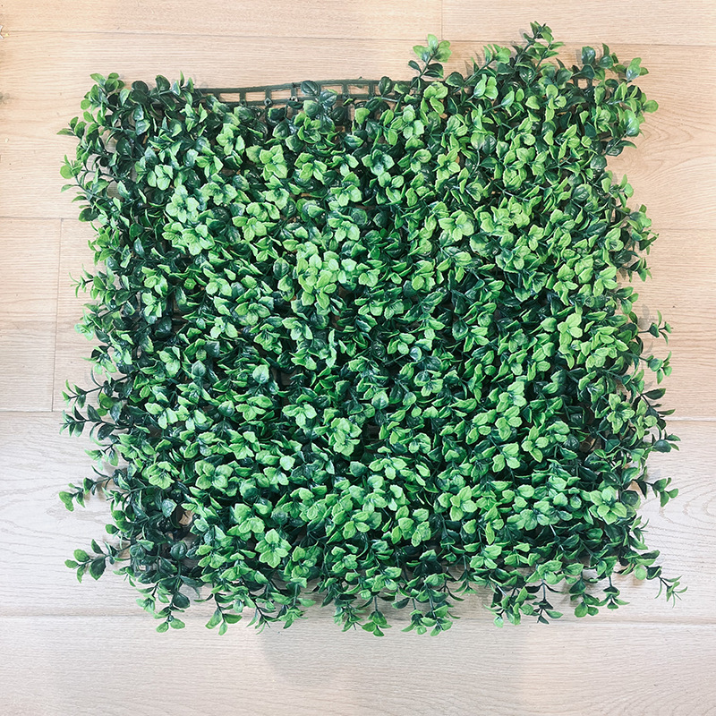 Green leaf eucalyptus