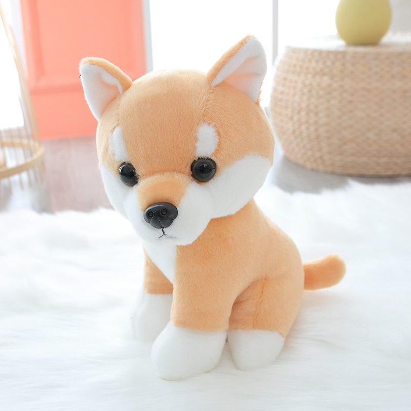 Shiba Inu