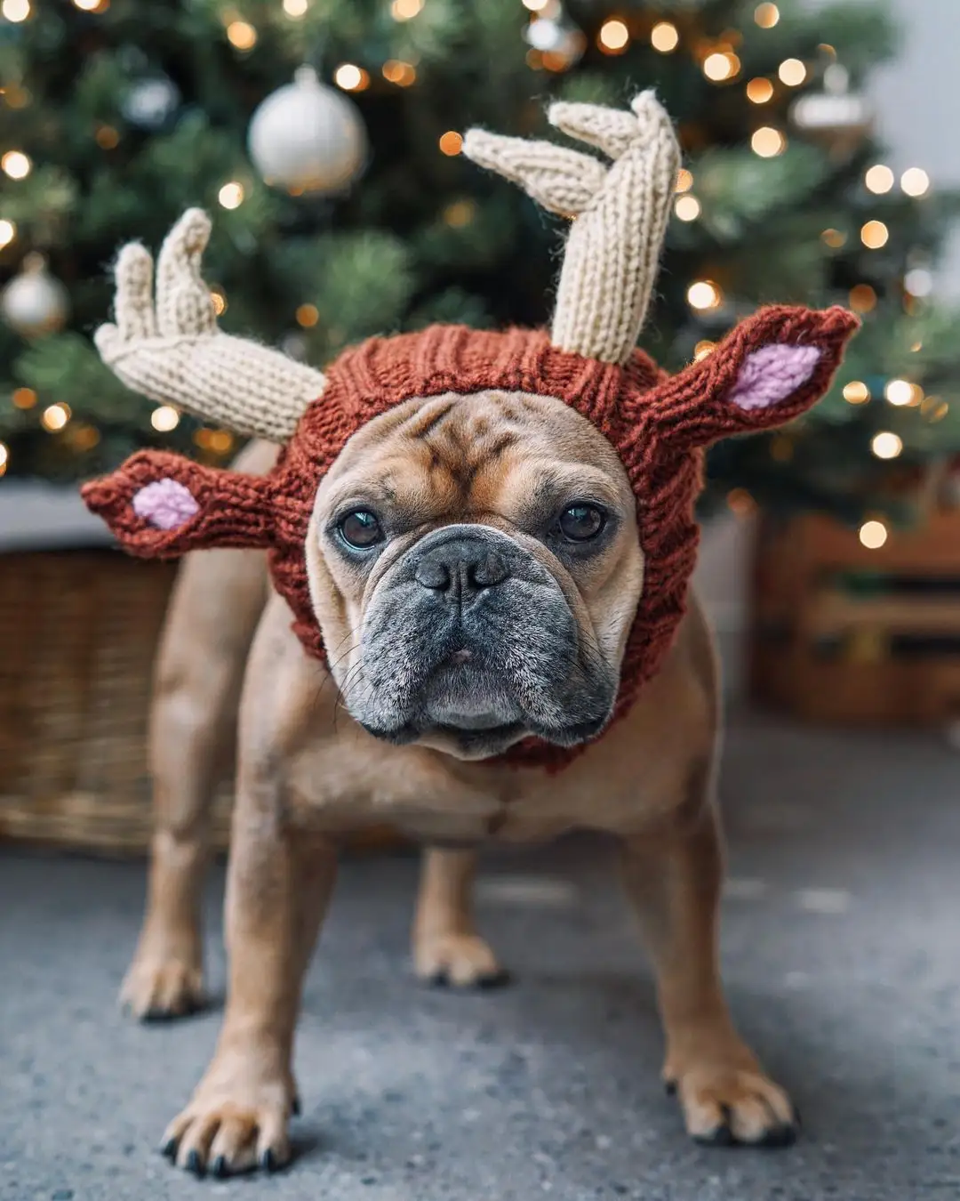 暖かい面白いハロウィンエルク防風ハロウィンニット犬の帽子ペットヘッドギアペットコスチュームクリスマスハート型ペット犬用品