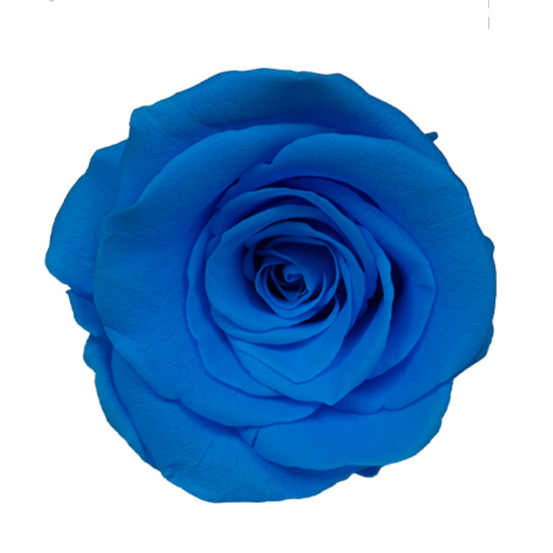 Sea Blue