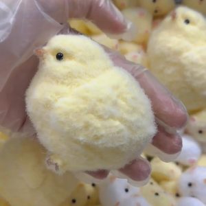 モチスクイーズひよこスクイーズおもちゃ新しいデザインノベルティふわふわストレッチソフトフィジェットストレスリリーフおもちゃスキッシュひよこアンチストレスおもちゃ