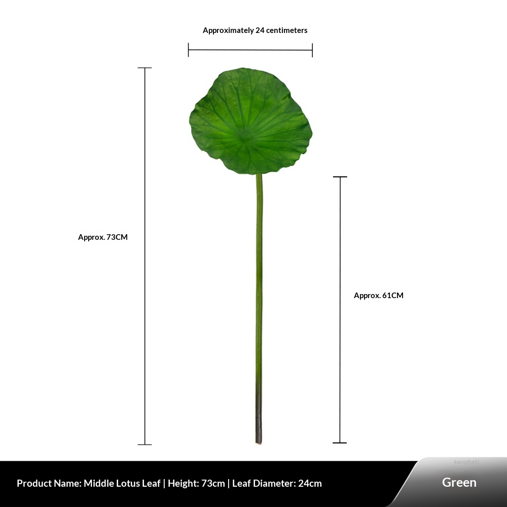 Feuille de lotus du milieu