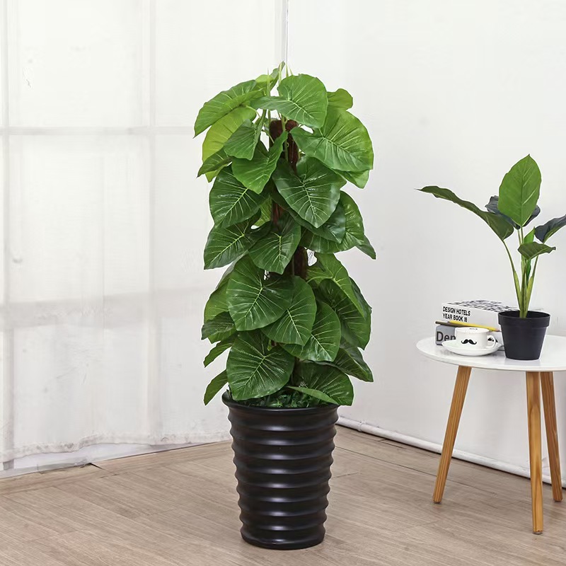 1M verde