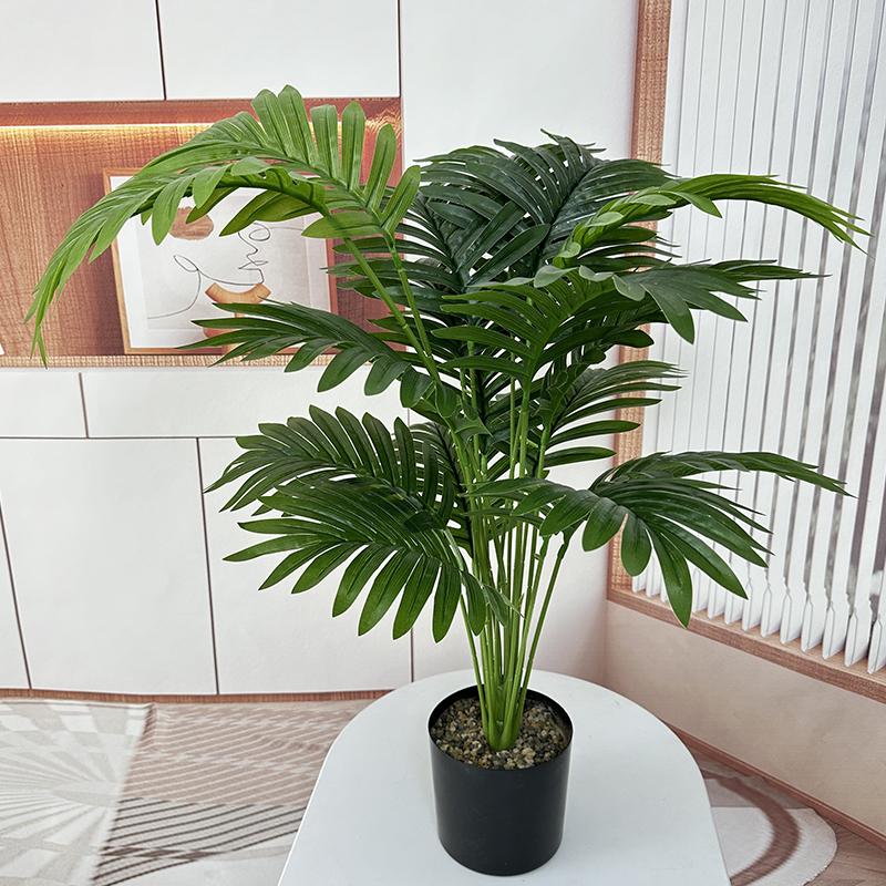 18 leaves dypsis lutescens-Green