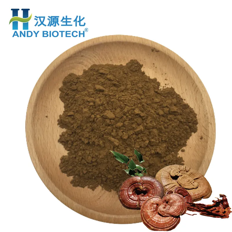 Suplemento alimenticio saludable al por mayor Ganoderma Lucidum polvo de hongo Extracto de hongo Reishi rojo