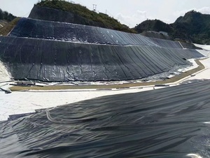<strong>HDPE</strong> LDPE LLDPE Plastic Sheeting Roll 1mm 1.5mm 60 Mil Liner Geomembrane Polyethylene Sheet Pond for Fish - Product Image 3