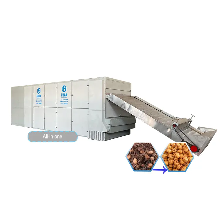 Commeriacal Tiger Nut Deshidratador Máquina Food Garde Sus Mesh Belt Máquina secadora de alimentos continua Equipo