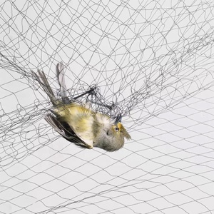 Black Garden Mist Netting zum Fangen eines Vogels Nylon Seide Vogel netze Anti Wind Vogelschutz Trapping Nebel netz für die Jagd Fledermaus - Product Image 1