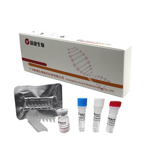 Simian adenovirüs Type-8 gerçek zamanlı PCR kiti liyofilize veteriner testi SAdV için üretilen RT-PCR Test kiti - Product Image 2